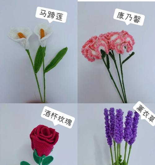 玫瑰花瓣的正确拔取方法图解是什么？