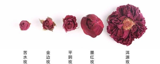 种植玫瑰花需要哪些产品模块？