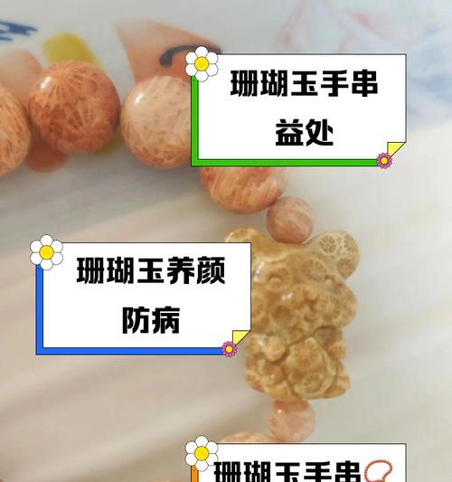 玉珊瑚仙人掌的养殖方法是什么？