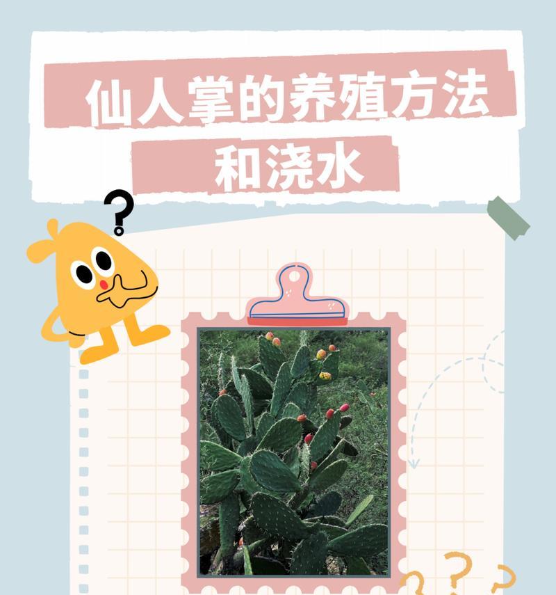 玉珊瑚仙人掌的养殖方法是什么？