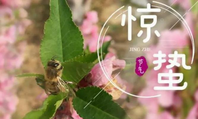 牡丹花施肥的注意事项是什么？如何正确施肥？