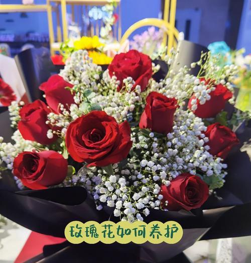 极地玫瑰花的养护要点是什么？
