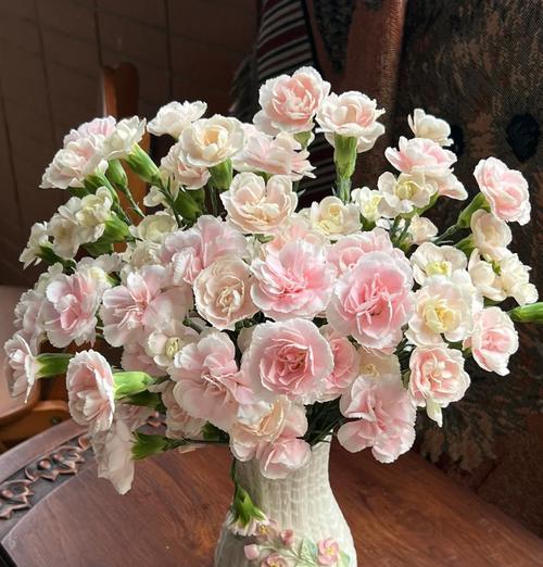康乃馨不开花怎么办？如何解决不开花的问题？