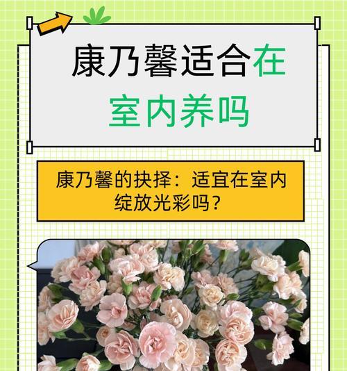 康乃馨不开花怎么办？如何解决不开花的问题？
