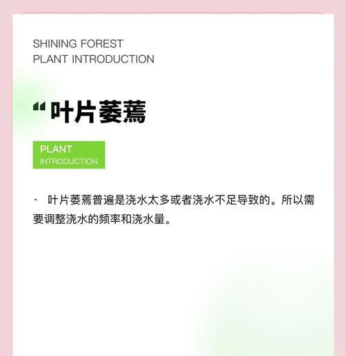 多肉植物途长是什么原因？如何解决多肉植物途长问题？