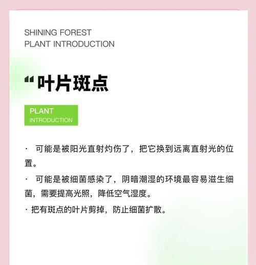 多肉植物途长是什么原因？如何解决多肉植物途长问题？