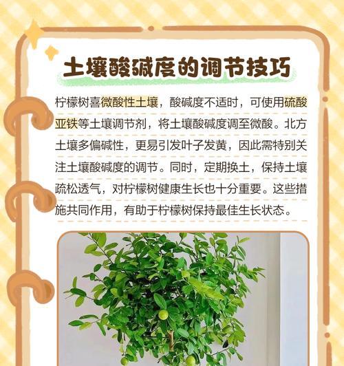 树叶子发黄的常见原因及处理方法？