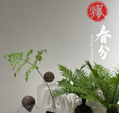 青苔养花的好处是什么？如何正确使用青苔？