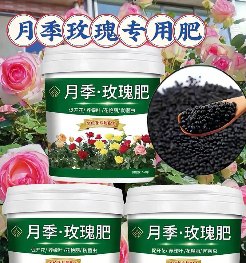 玫瑰花种植土壤和肥料如何选择？玫瑰花种植的施肥技巧是什么？