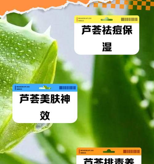 芦荟枯萎了怎么救活？芦荟的急救方法是什么？