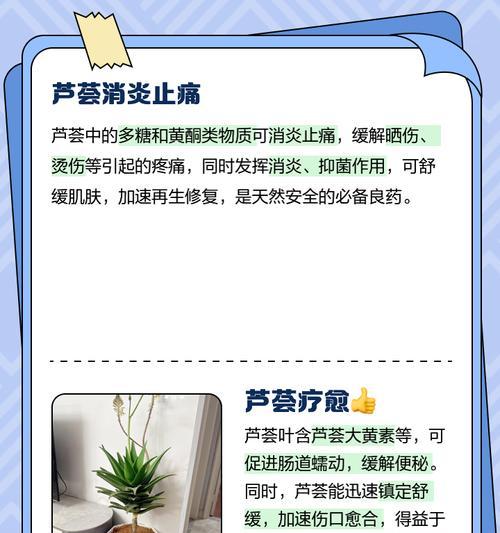 芦荟枯萎了怎么救活？芦荟的急救方法是什么？
