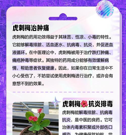 刺梅花的繁殖技巧有哪些？如何正确繁殖刺梅花？