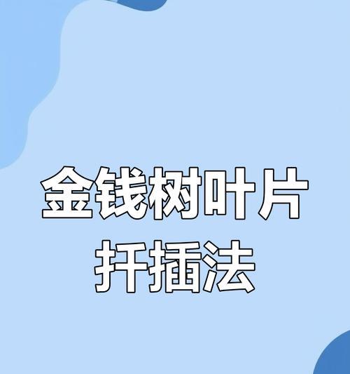 金钱树扦插的正确步骤是什么？