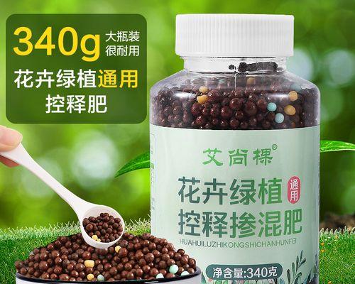绿萝施肥的正确方式是什么？应该使用哪种肥料？