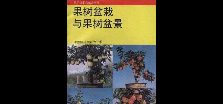 盆栽果树常遇到哪些问题？如何解决这些问题？