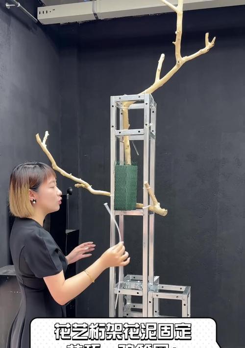 鸡笼网插花的简单技巧是什么？如何插出美观的花艺作品？