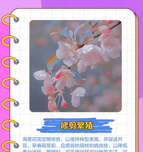 家庭如何养殖海棠花？有哪些注意事项？