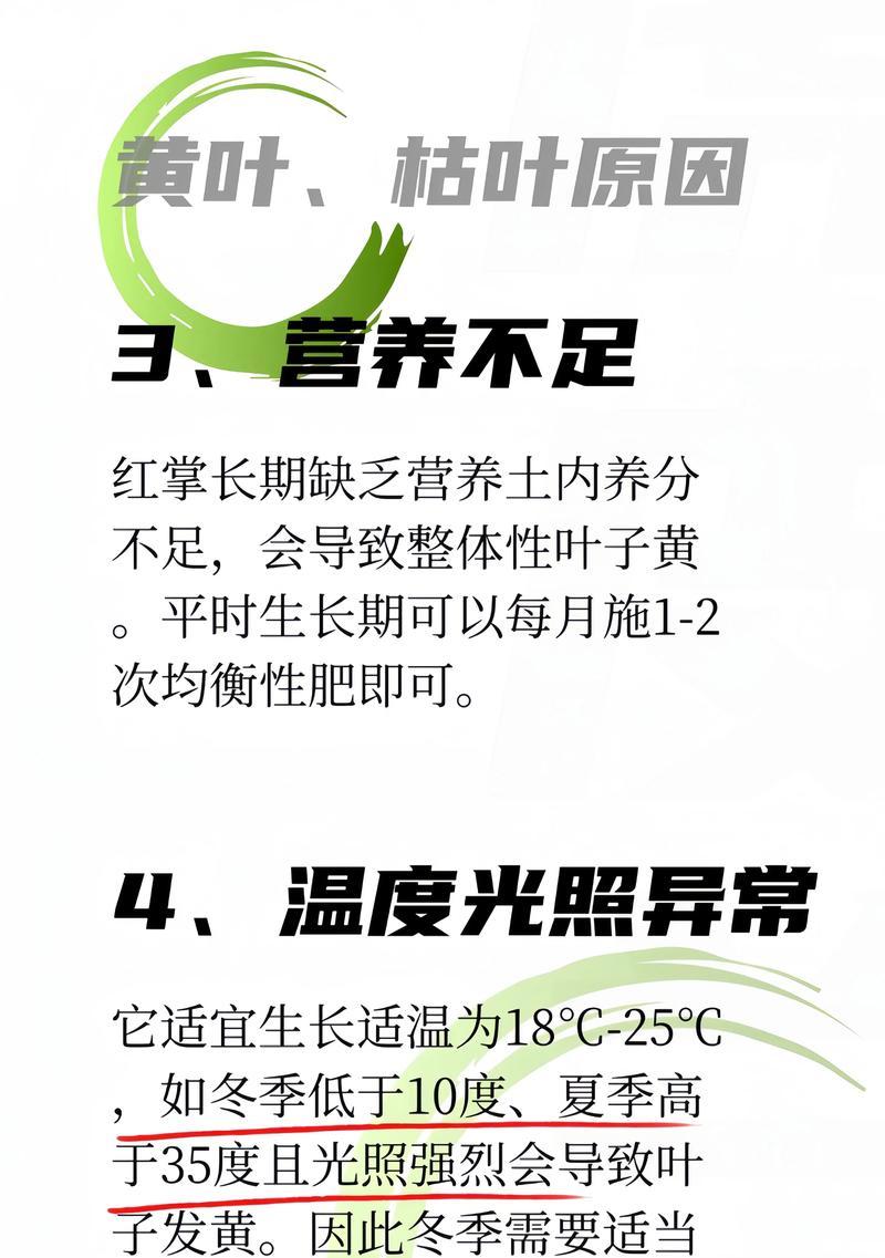 花卉叶子发黄怎么办？如何诊断和处理？
