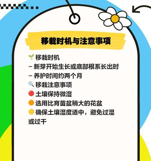 铁线莲繁殖的步骤和技巧是什么？