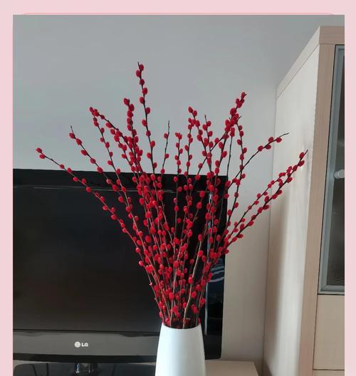 银芽柳的养殖技巧有哪些？