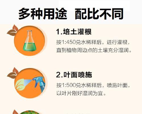 兰花需要施什么肥料？如何正确施肥以促进兰花生长？