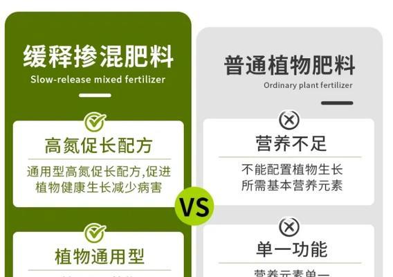 秋季适合养哪些植物？如何进行养护？