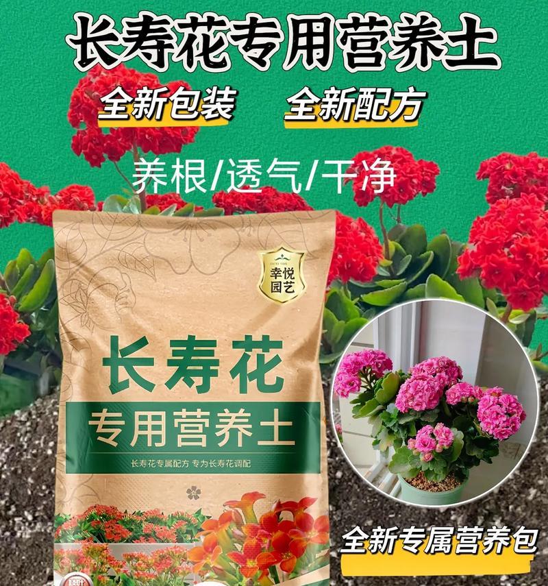 长寿花的栽培土壤选择是什么？如何进行长寿花的土壤配制？