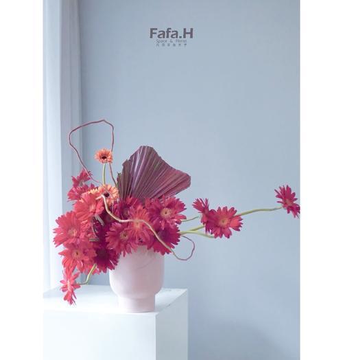 非洲菊插花如何养护？需要注意哪些事项？