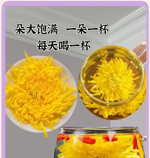 黄金菊的养护技巧有哪些？