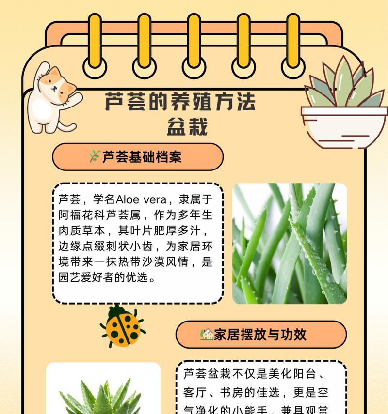 不夜城芦荟的养殖方法是什么？如何保持其健康生长？