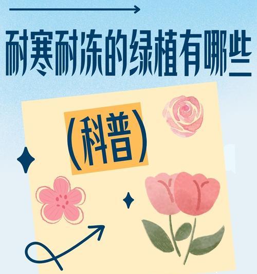 植物过冬有哪些注意事项？