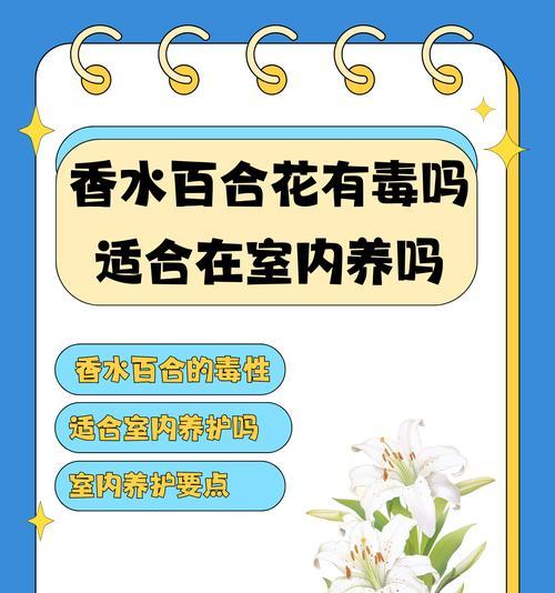 香水百合凋谢后如何处理？