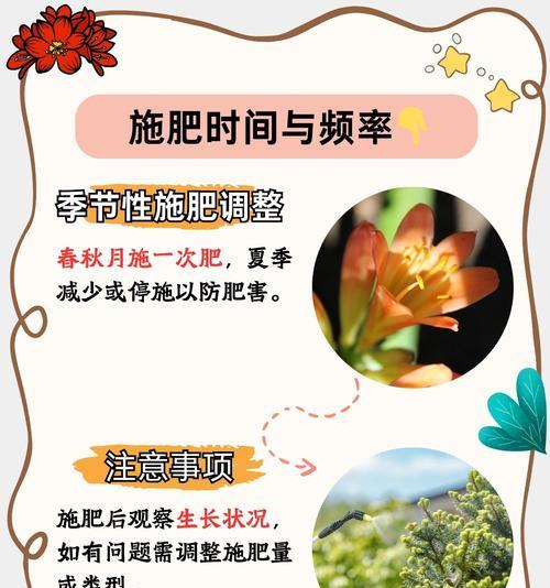 君子兰的正确种植方法是什么？如何确保君子兰健康成长？