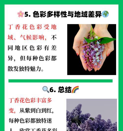丁香花的养殖技巧有哪些？如何确保其良好生长？