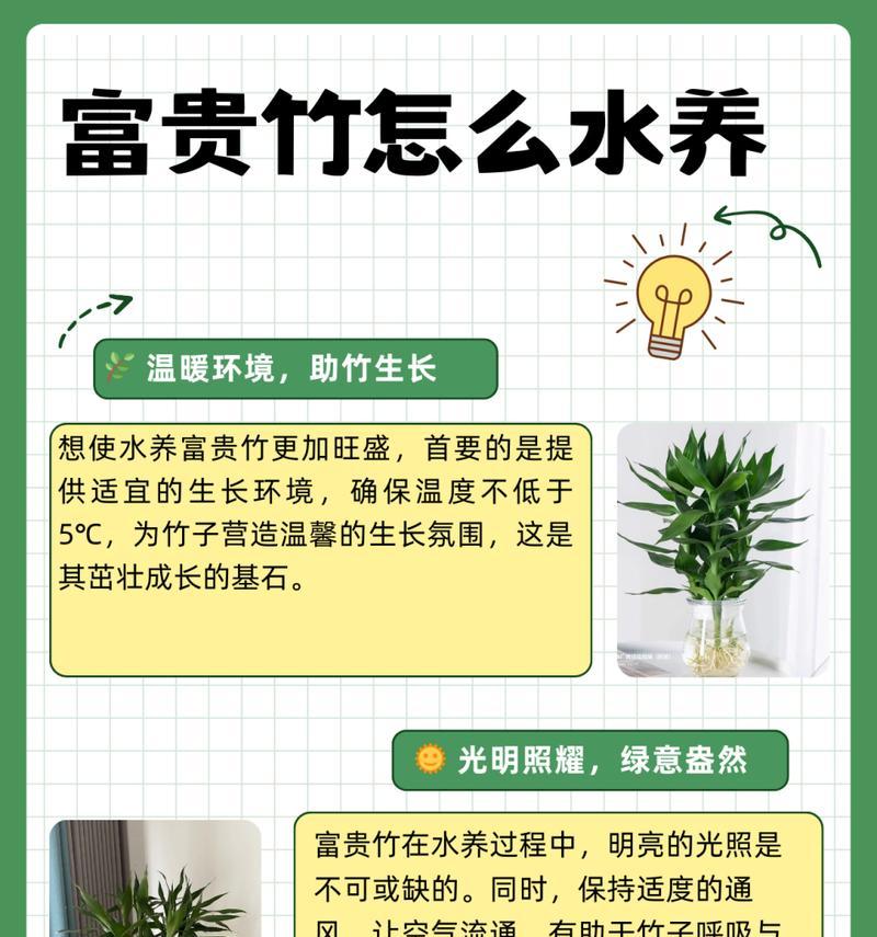 新买的水竹养殖方法是什么？如何让水竹快速适应新环境？