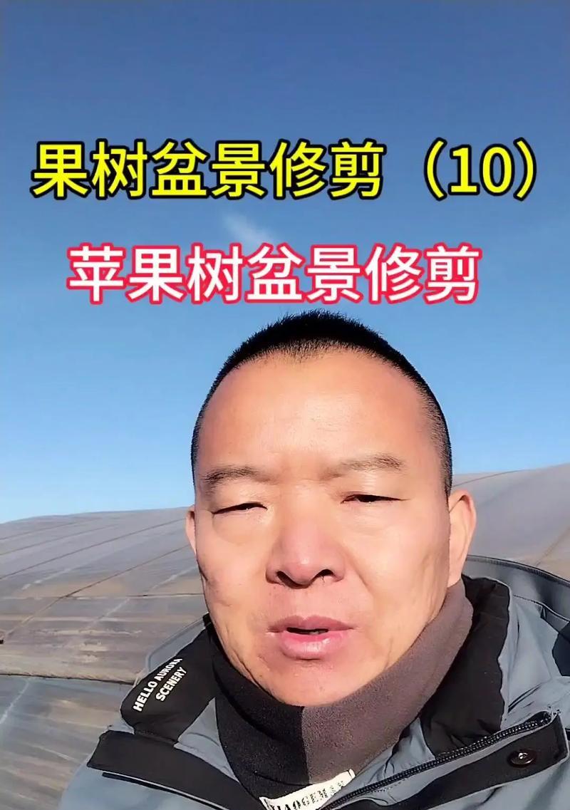 盆栽果树怎样修剪才能挂果快？修剪后多久可以结果？