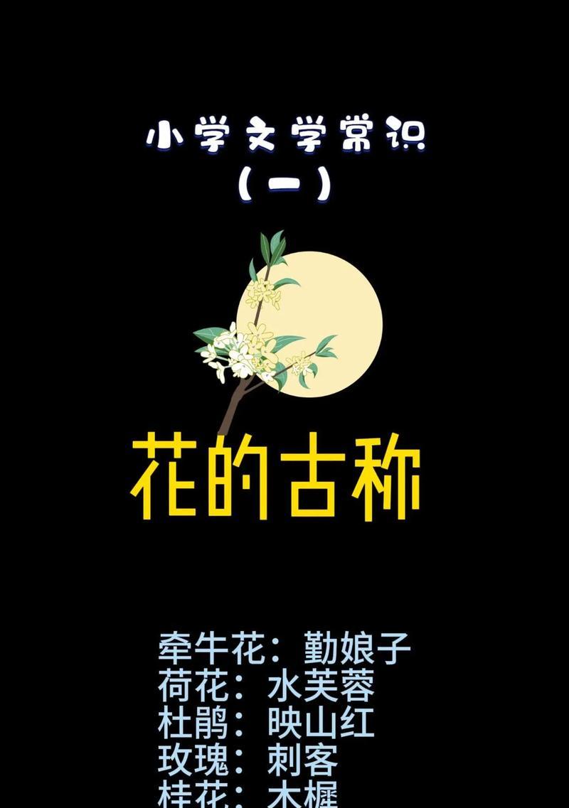 昙花的花朵在传统医学中有何用途？