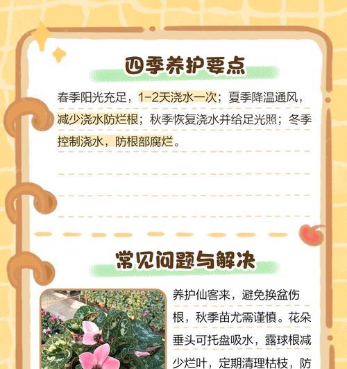 仙客来不开花是什么问题？如何促进开花？
