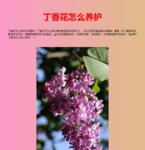 丁香的养殖方法是什么？丁香养护需要注意什么？