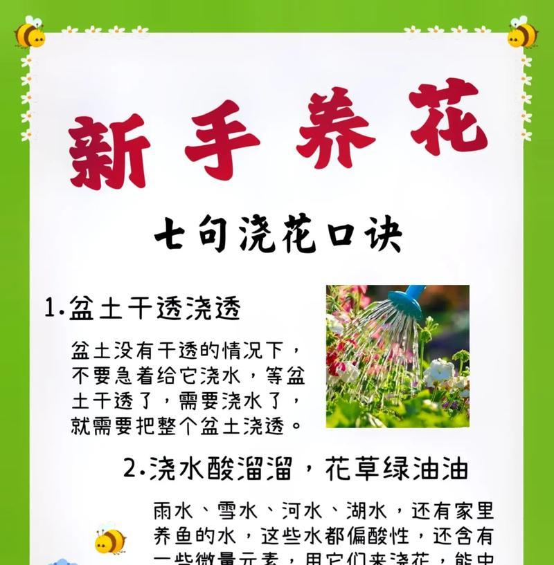 有哪些花是出了名的容易养活？它们的养护要点是什么？