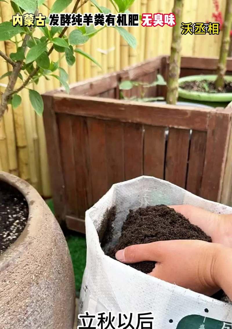 自制盆栽肥料的简单方法有哪些？自制肥料对植物有何好处？