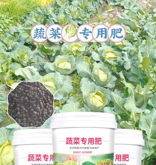 自制盆栽肥料的简单方法有哪些？自制肥料对植物有何好处？