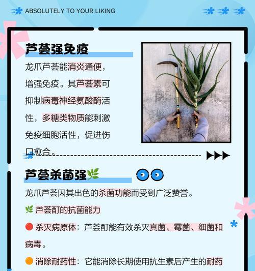 水培芦荟烂根如何处理？芦荟烂根的预防措施有哪些？