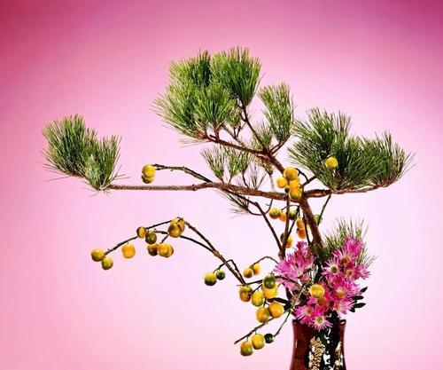 家庭插花时如何选择合适的配草？