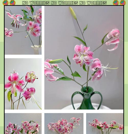 百合花水养需要注意什么？有哪些技巧？