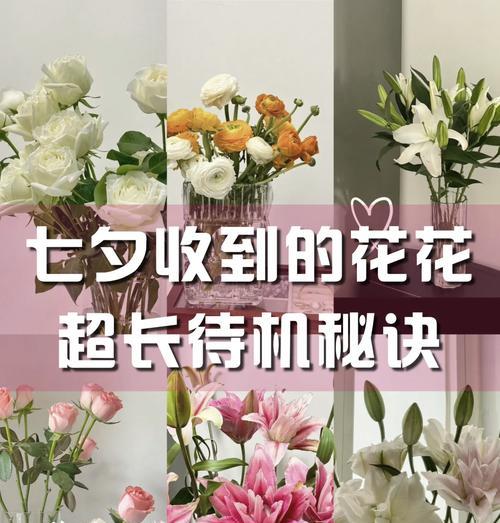 养鲜花的技巧和注意事项有哪些？