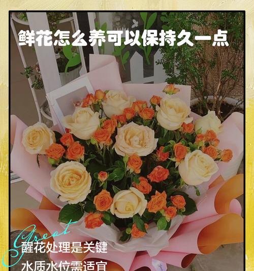 养鲜花的技巧和注意事项有哪些？