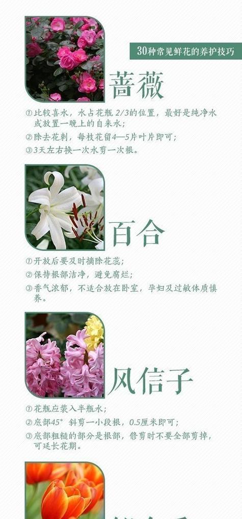 养鲜花的技巧和注意事项有哪些？