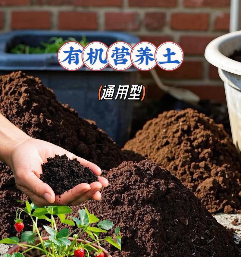 哪种土壤最适合养花？如何选择适合花卉生长的土壤？