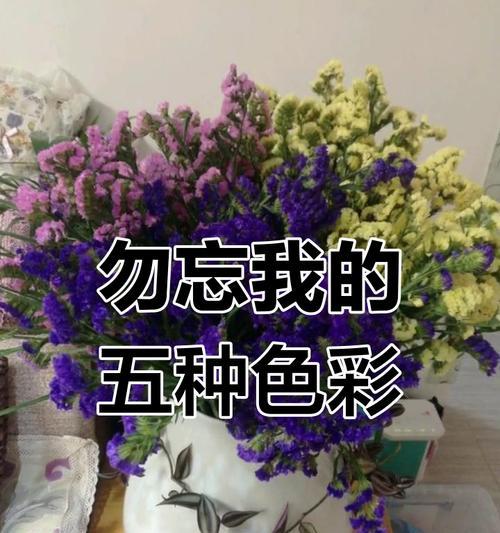 勿忘我花的养殖方法是什么？如何保持其鲜艳的色彩？